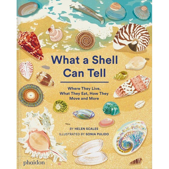 What A Shell Can Tell image 0