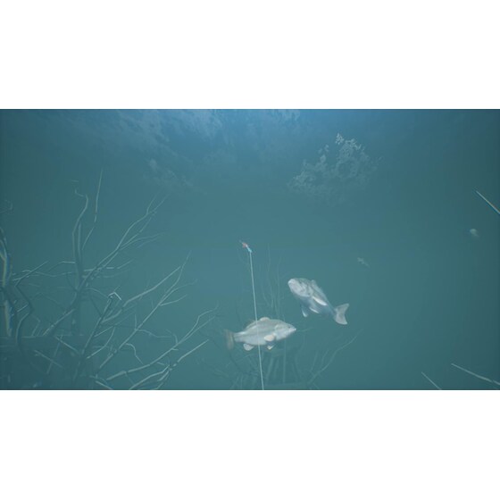 Bassmaster Fishing 2022 Deluxe Edition - PS5 image 8