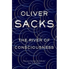 The River of Consciousness