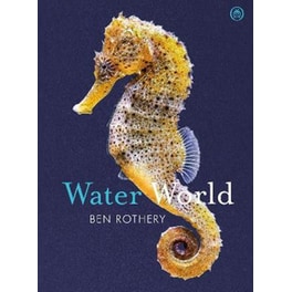 Water World