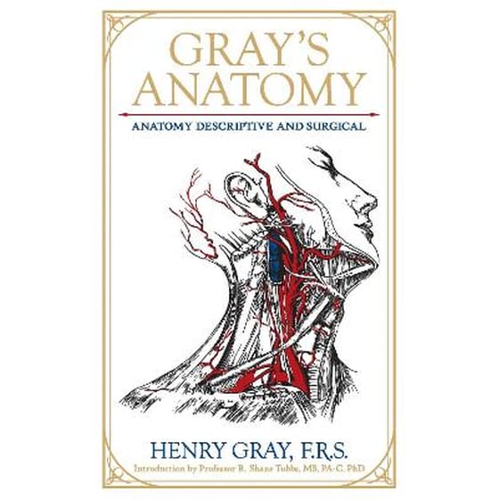 Gray's Anatomy image 0