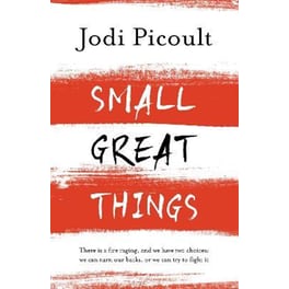 Small Great Things: The bestselling novel you won't want to miss