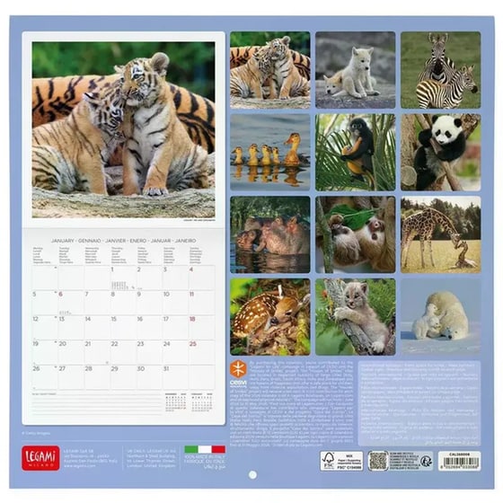 Ημερολόγιο Τοίχου Legami 2026 Baby Animals 30x29cm image 2