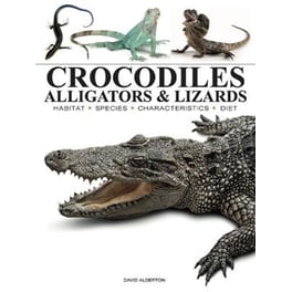 Crocodiles, Alligators & Lizards
