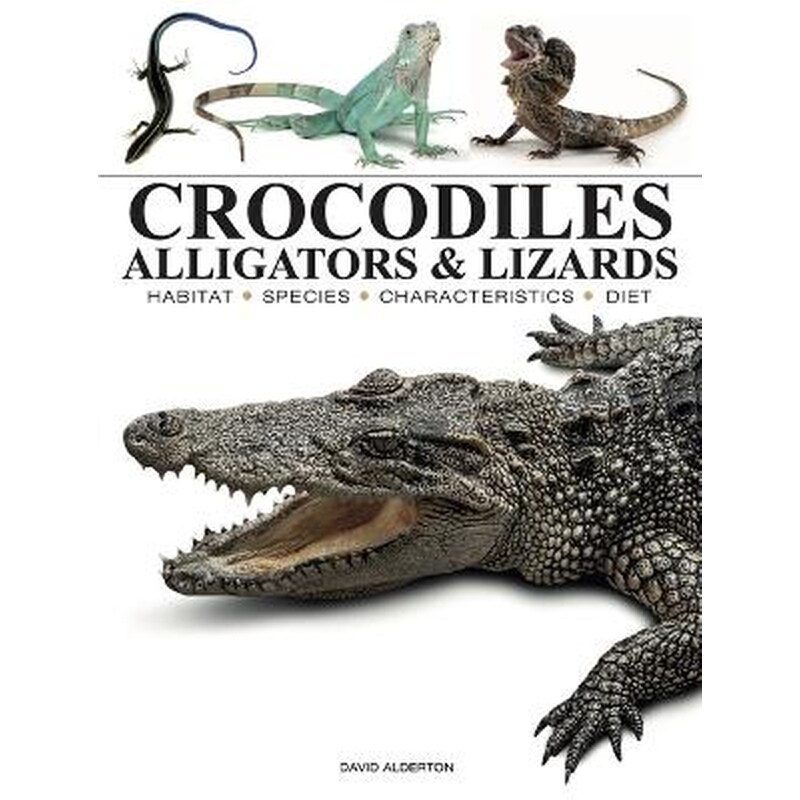 Crocodiles, Alligators Lizards