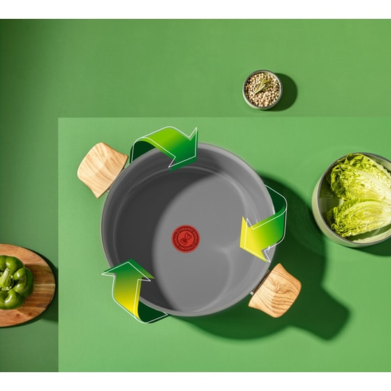 Κατσαρόλα Βαθιά TEFAL C42646 24 cm Μαύρο image 6