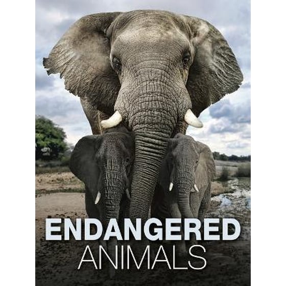 Endangered Animals image 0
