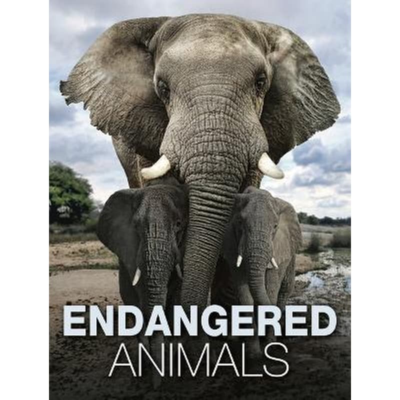 Endangered Animals