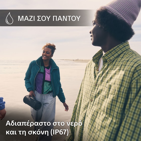 Sony XG300 Φορητό Ηχείο 17W - Γκρι image 5