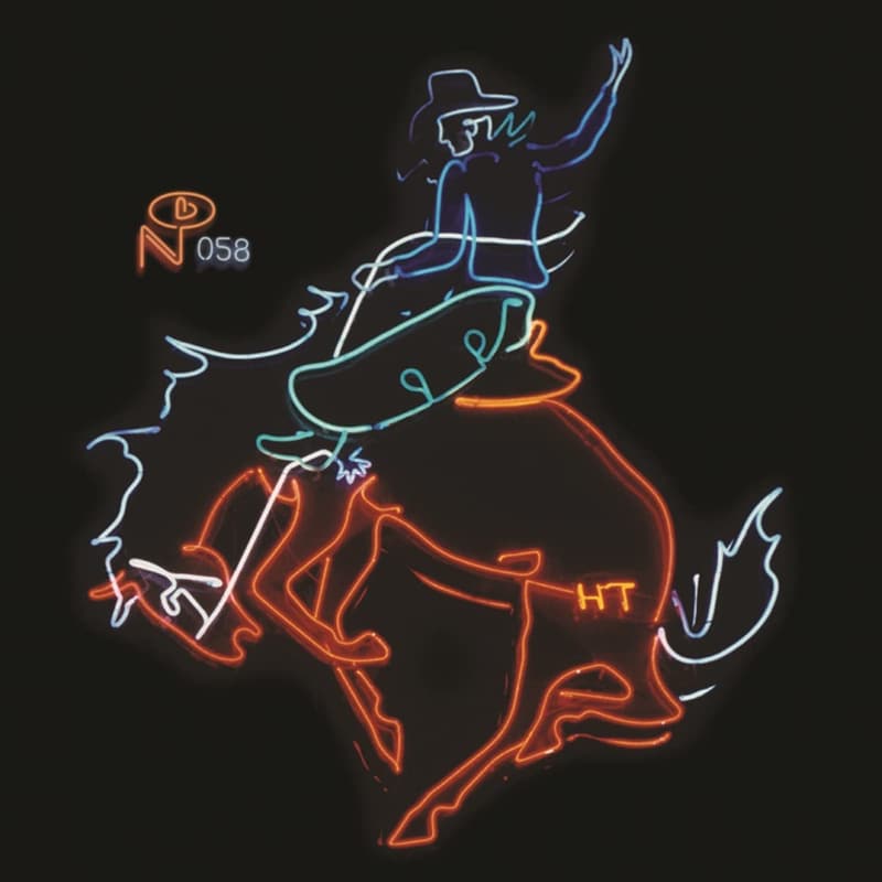 Wayfaring Strangers: Cosmic American Music (Col Vi