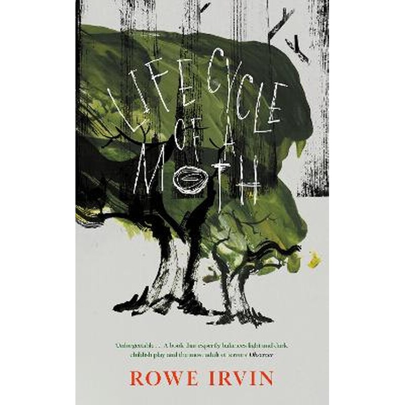 Life Cycle of a Moth