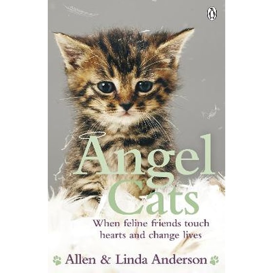 Angel Cats image 0