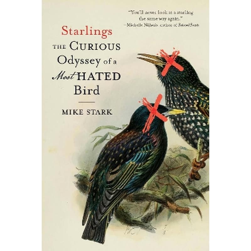 Starlings