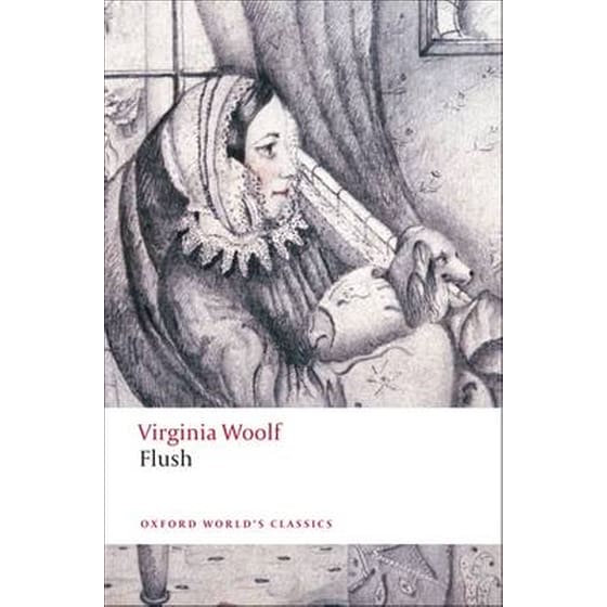 Flush image 0