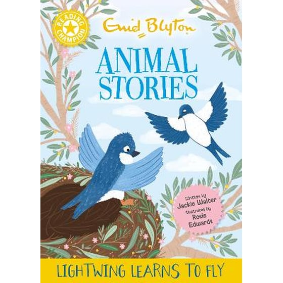 Reading Champion: Enid Blyton animal stories: Lightwing Learns to Fly image 0