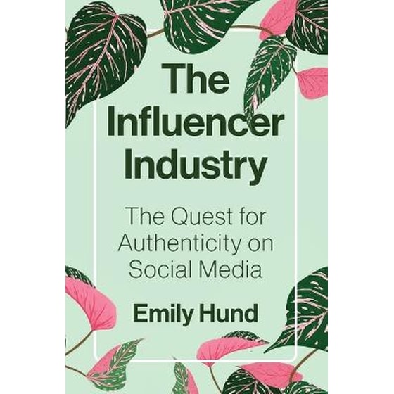 The Influencer Industry image 0