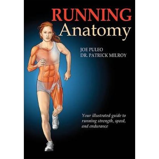 Running Anatomy image 0