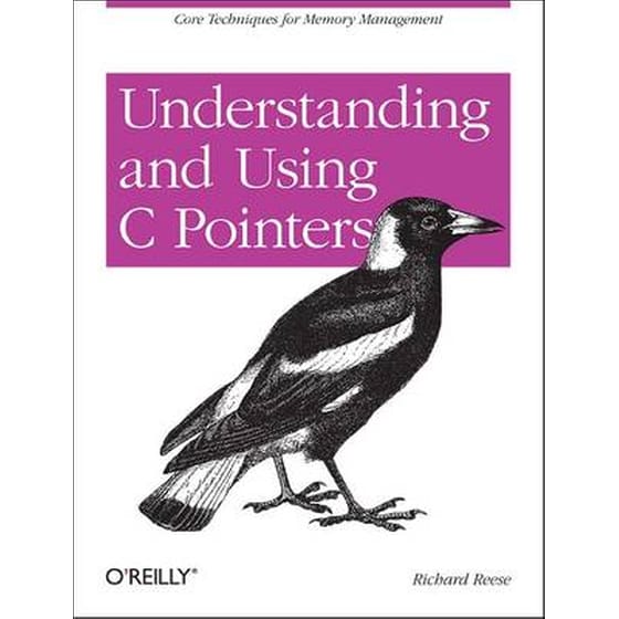 Understanding and Using C Pointers image 0