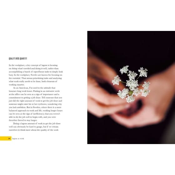 Live Lagom image 2
