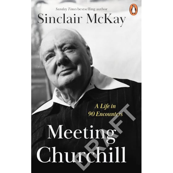 Meeting Churchill image 0