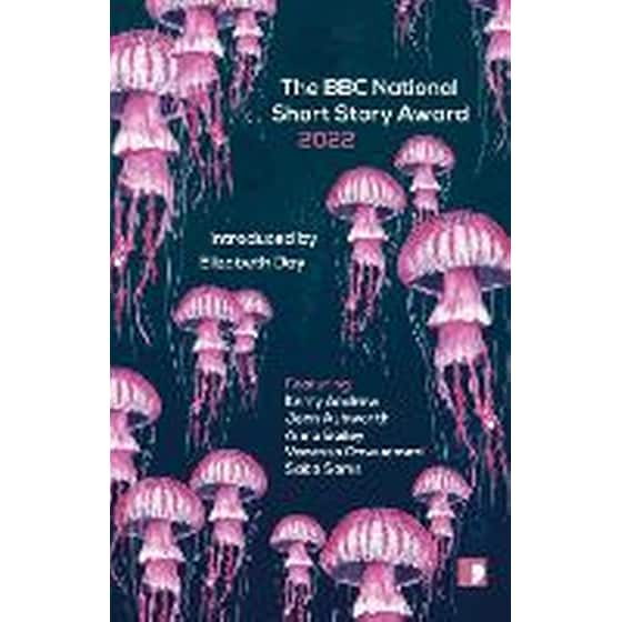 BBC National Short Story Award 2022 image 0