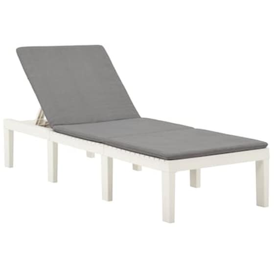 Ξαπλώστρα VidaXL με Μαξιλάρι Πλαστική 195x65x32 cm - Λευκό/Γκρι image 0