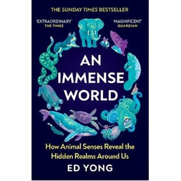 Immense World