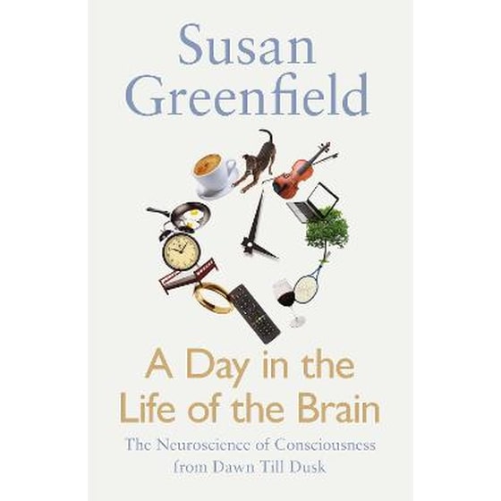 A Day in the Life of the Brain image 0