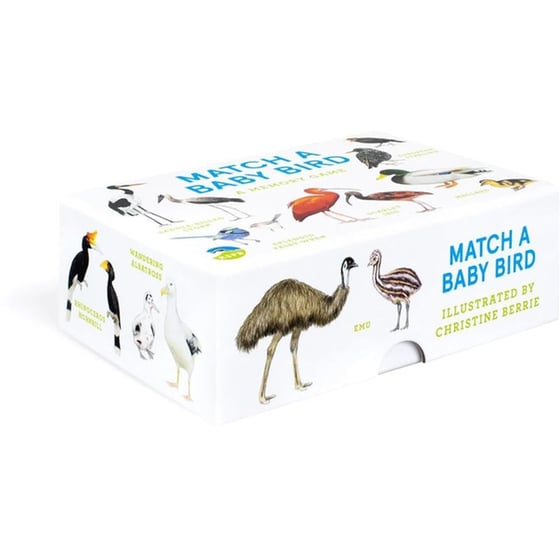 Match a Baby Bird image 2