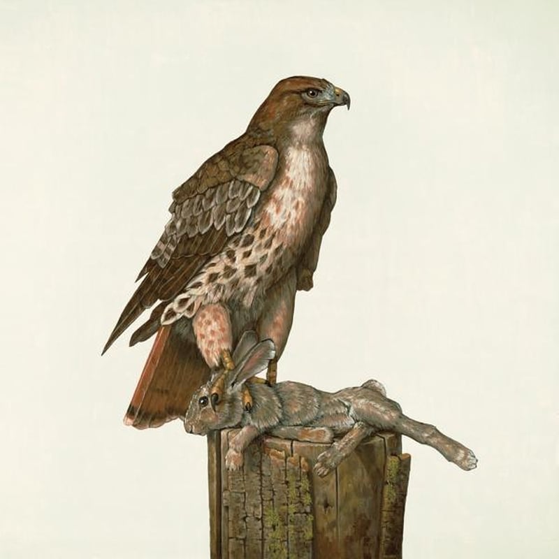 No Justice -Download-