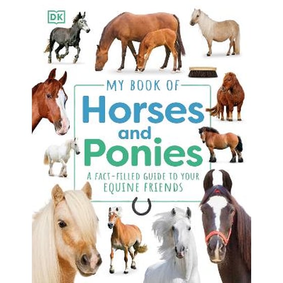 My Book of Horses and Ponies image 0