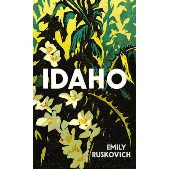 Idaho image 0