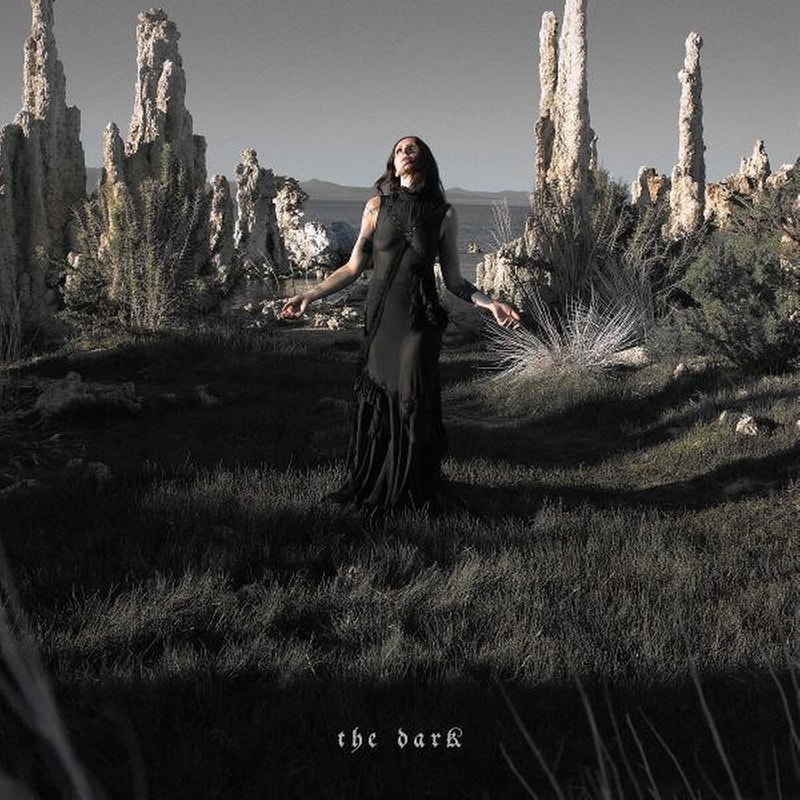 The Dark (CD)