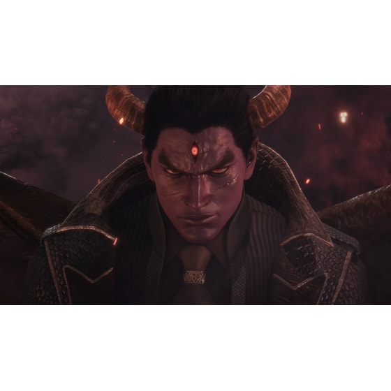 Tekken 8 Collector's Edition (Code in a Box) - PC image 2