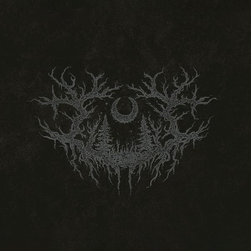 I Feel The Everblack Festering Within Me (CD)