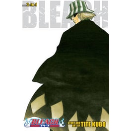 Bleach (3-in-1 Edition), Vol. 2