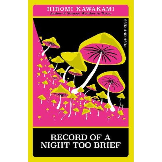 Record of a Night Too Brief image 0