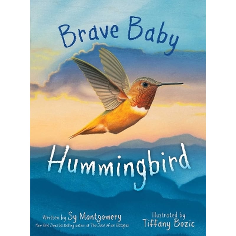 Brave Baby Hummingbird