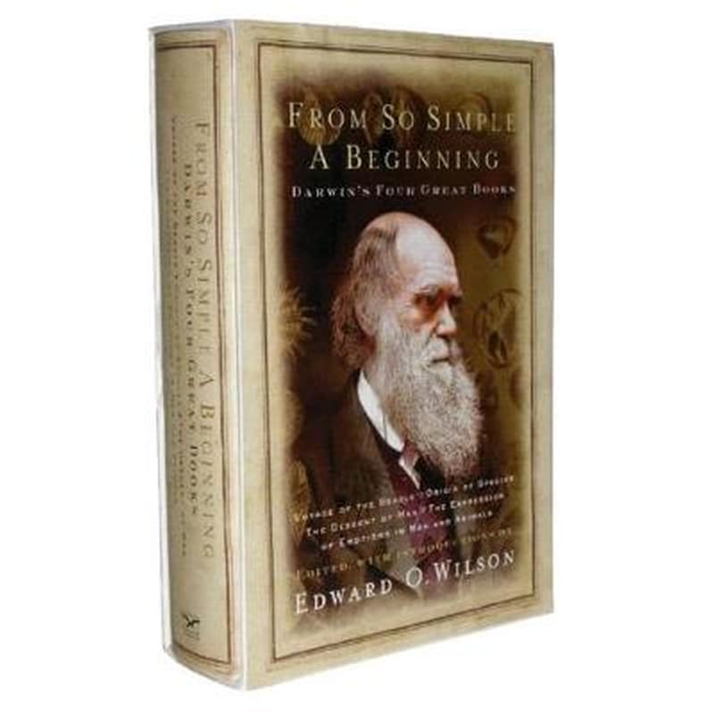 From So Simple a Beginning