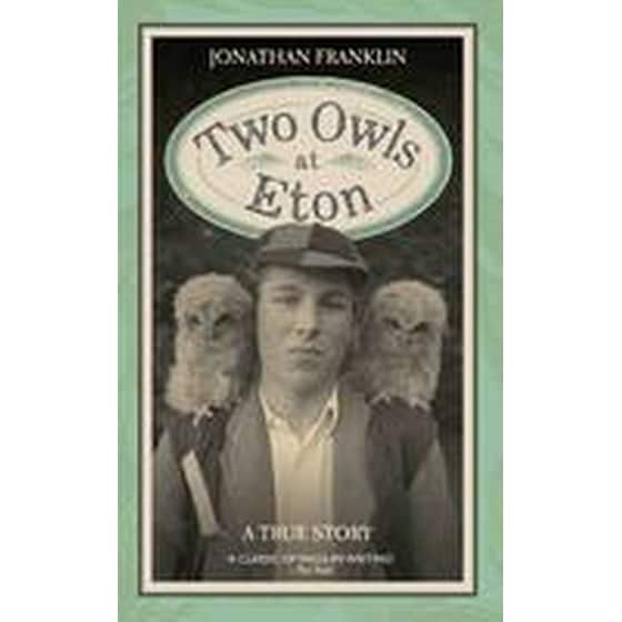 Two Owls at Eton image 0