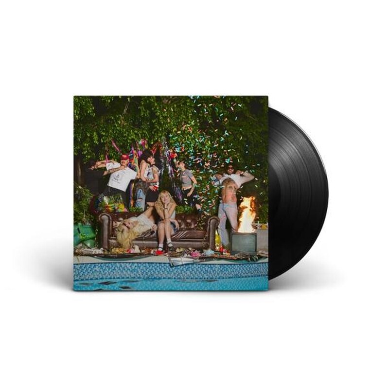 Who Let The Dogs Out (LP)