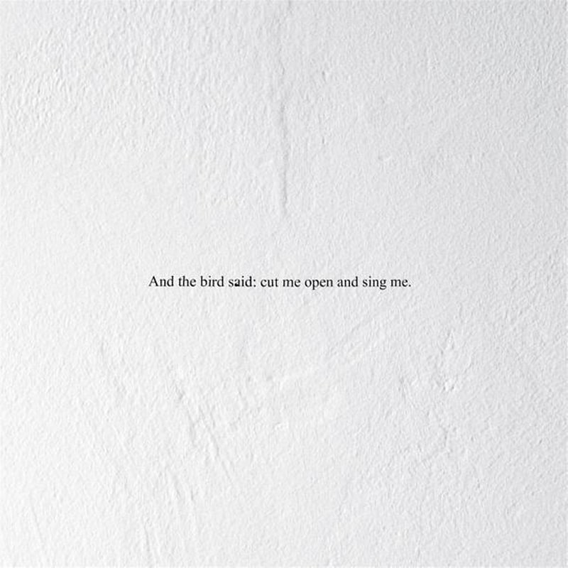 And The Bird Said: Cut Me Open And Sing Me