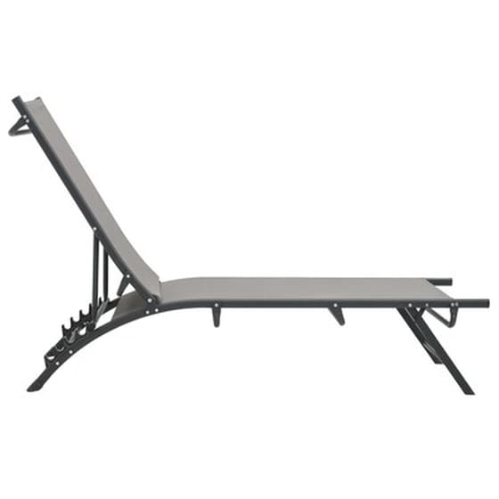 Σετ Ξαπλώστρα Παραλίας VidaXL 2 τμχ από Textilene & Ατσάλι 180,5x53x32,5 cm - Γκρι image 3