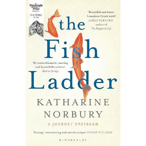 Fish Ladder image 0