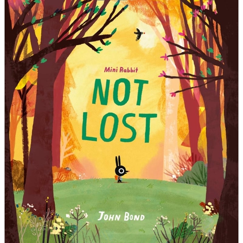 Mini Rabbit Not Lost