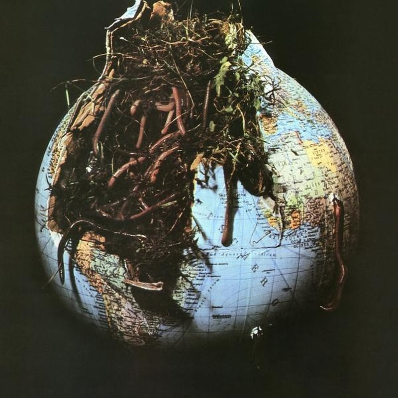 Drosselbart (Random LP)