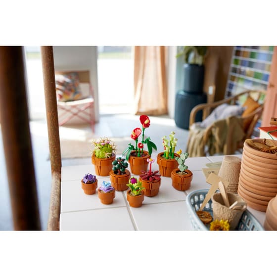 LEGO® Icons Tiny Plants (10329) image 13