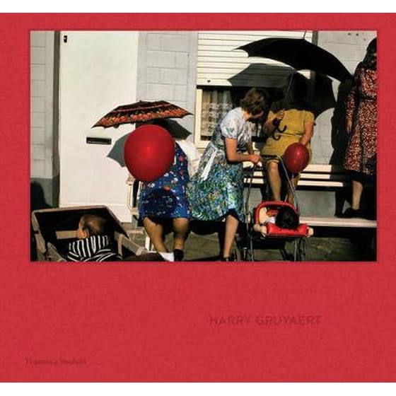 Harry Gruyaert image 0