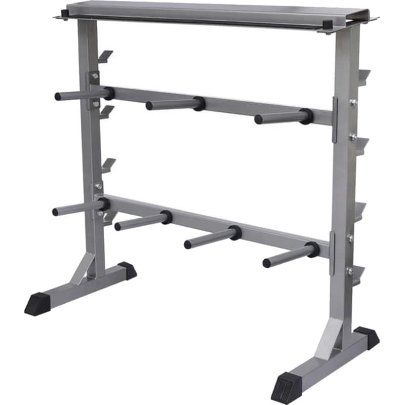 VIDAXL Βάση για Δίσκους Βαρών Φ25 και 4 Μπάρες Βαρών VidaXL 90369 Επιδαπέδια 100x49x95 cm