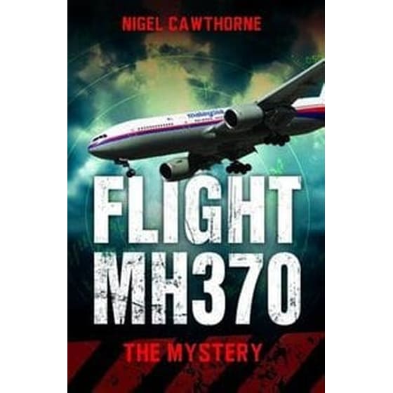 Flight MH370 image 0